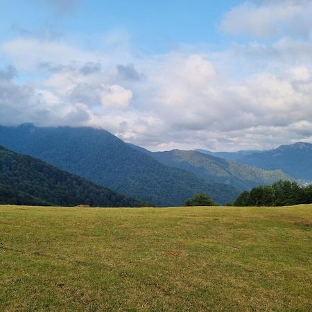 Katun Lanista-Kolibe Bogavac Villa Mojkovac Bagian luar foto