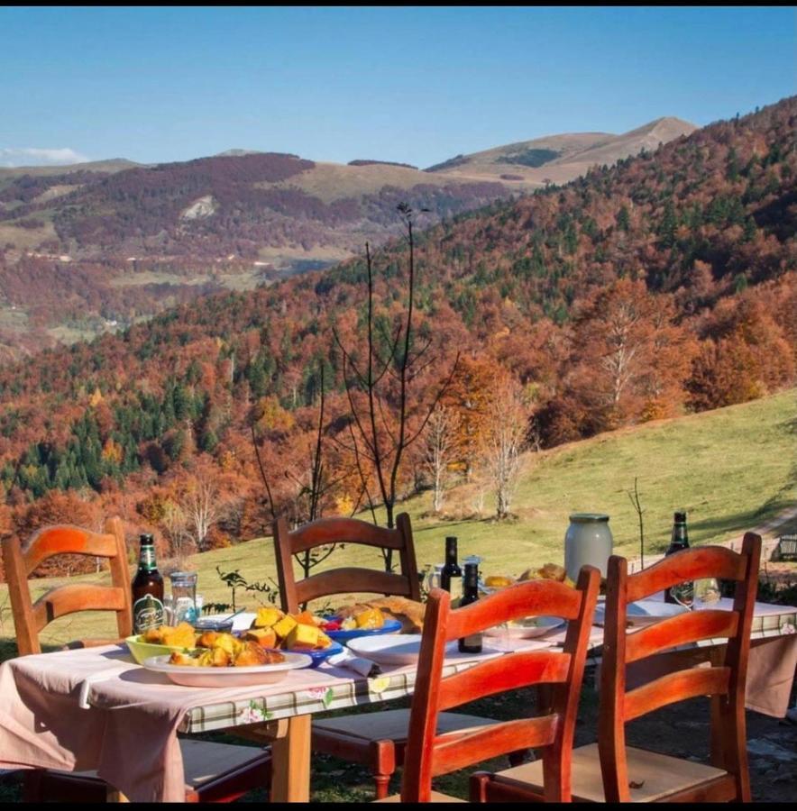 Katun Lanista-Kolibe Bogavac Villa Mojkovac Bagian luar foto