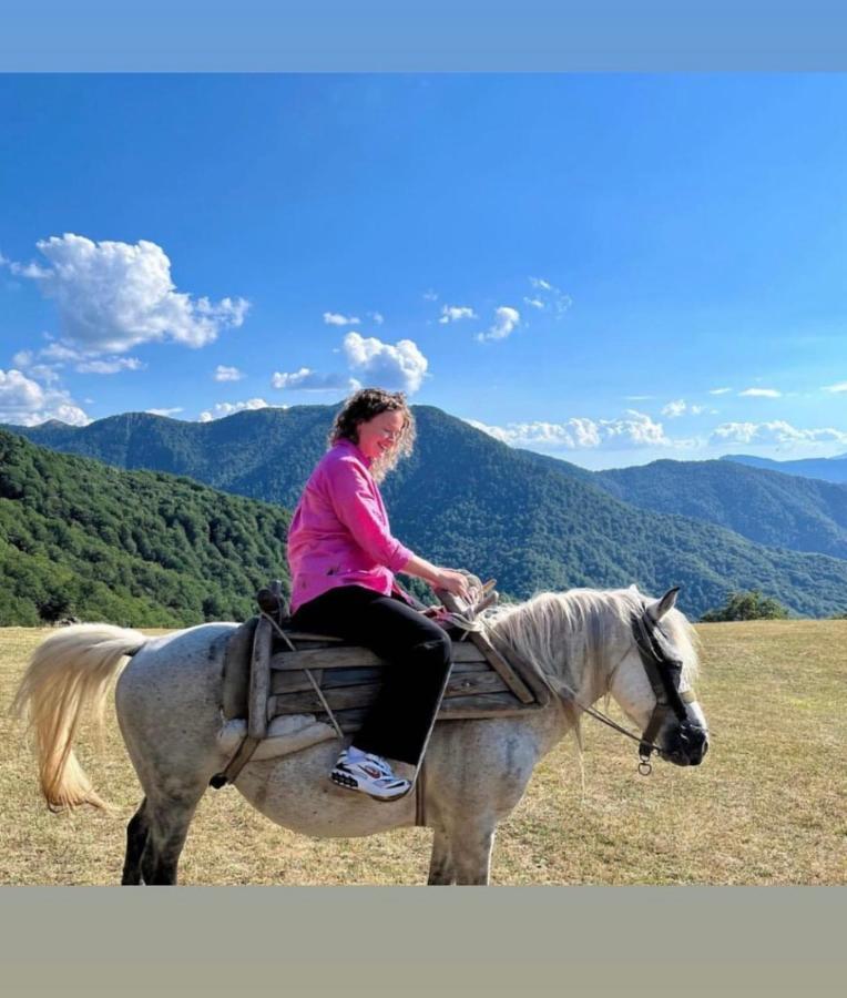 Katun Lanista-Kolibe Bogavac Villa Mojkovac Bagian luar foto