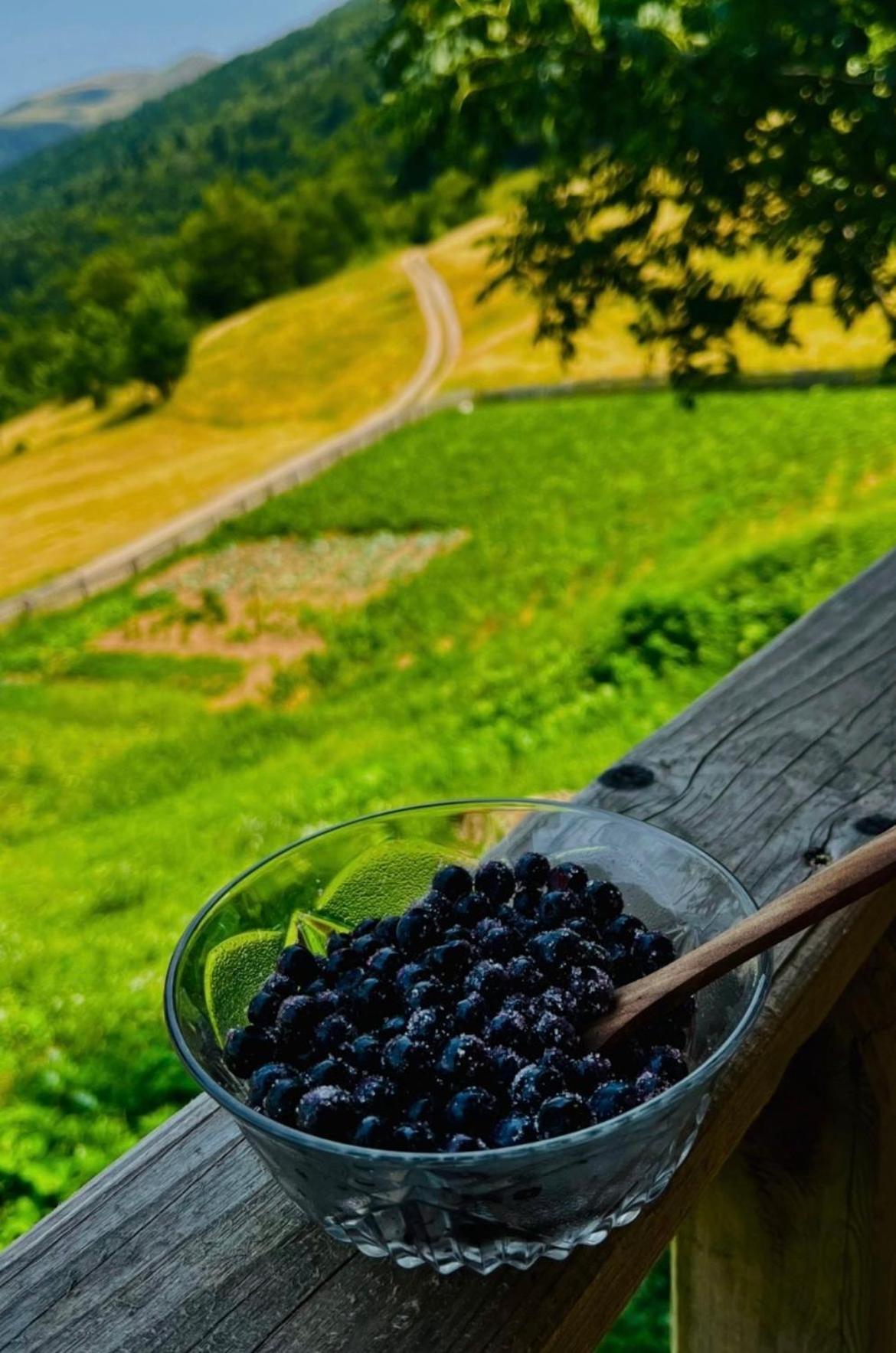 Katun Lanista-Kolibe Bogavac Villa Mojkovac Bagian luar foto