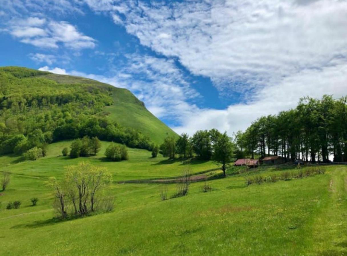 Katun Lanista-Kolibe Bogavac Villa Mojkovac Bagian luar foto
